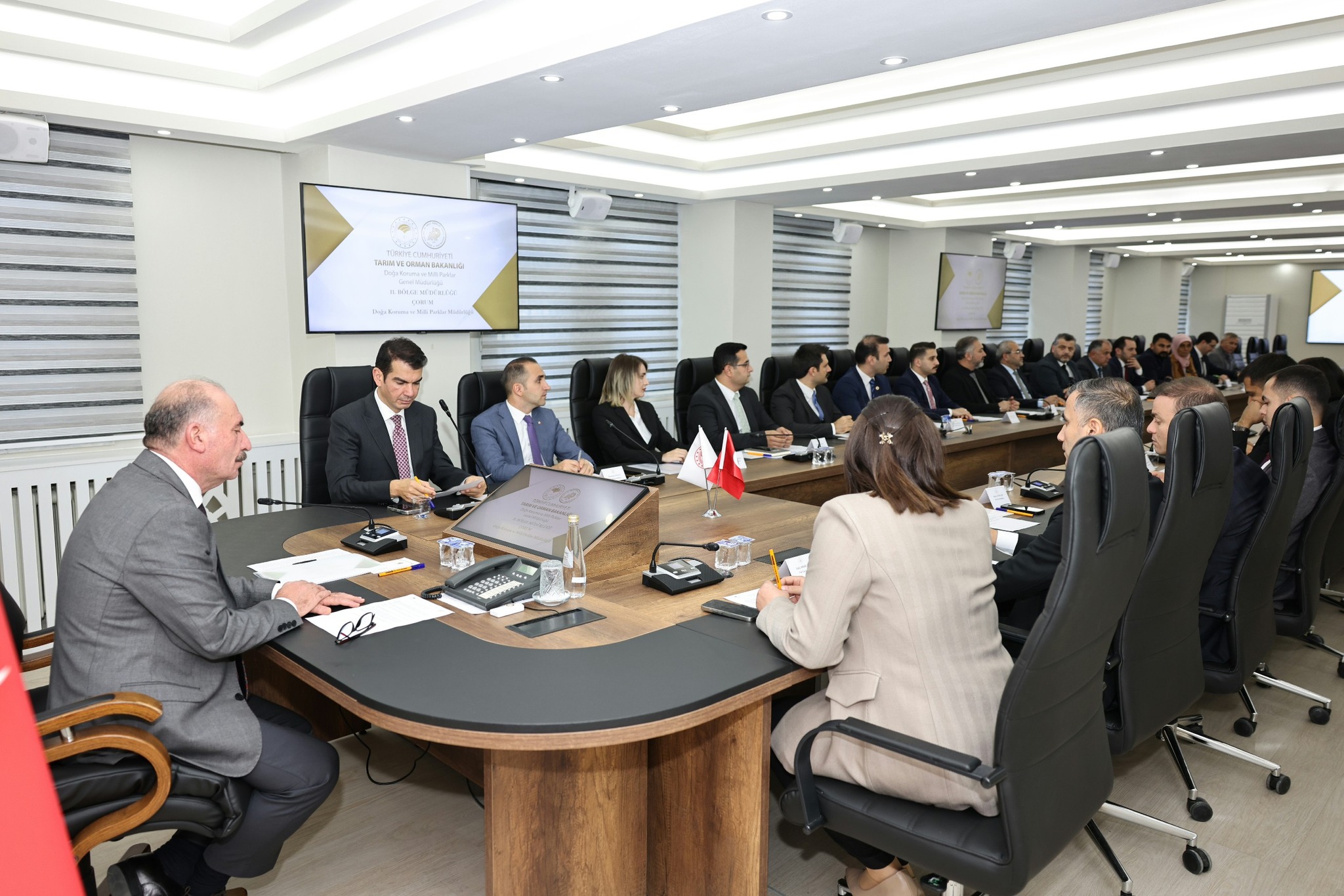 572796669 1229464929217418 3825971880660916901 N