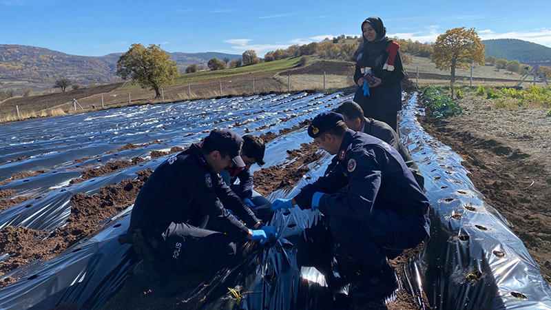 574264866 122209913186108366 8618402368052897113 N