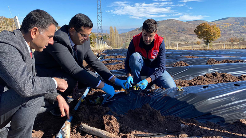 574580039 122209913264108366 7993666950767978538 N