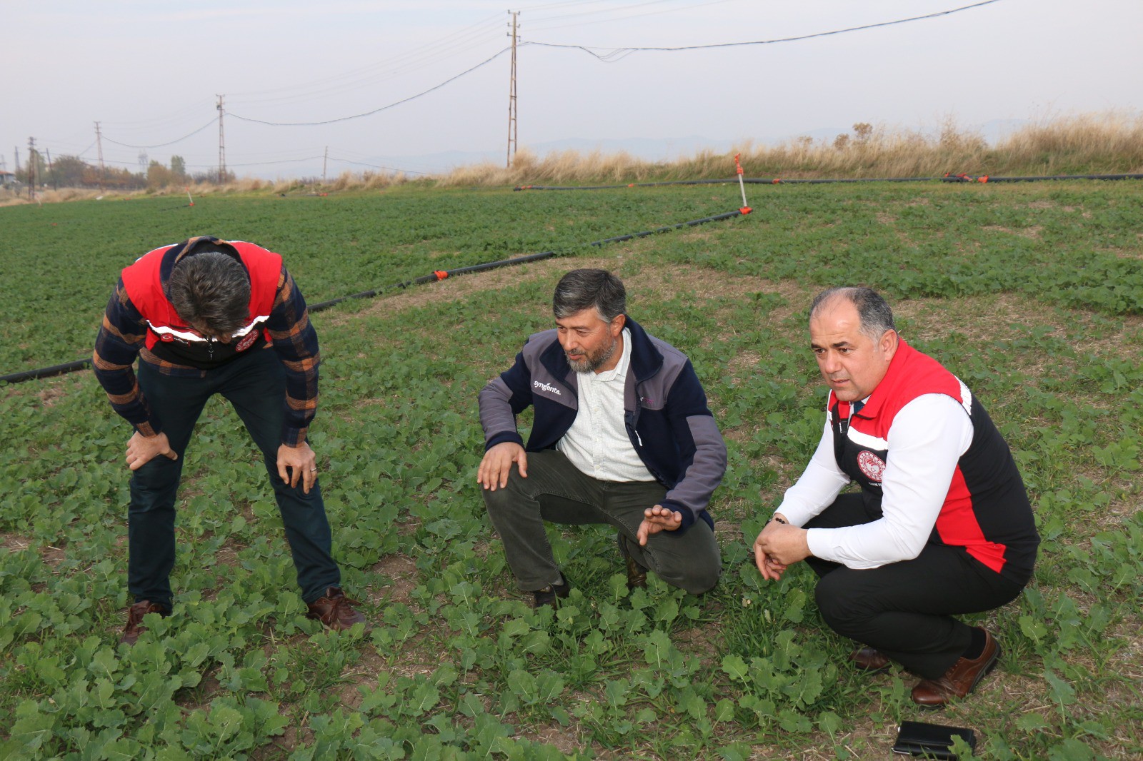 575170188 122210571662108366 7793059545397229860 N