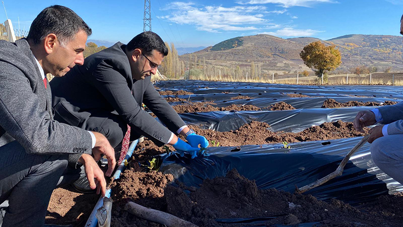 575192483 122209913150108366 9020325270137091266 N