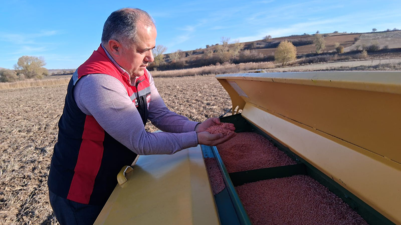 575623888 122210115032108366 3668609742600989333 N