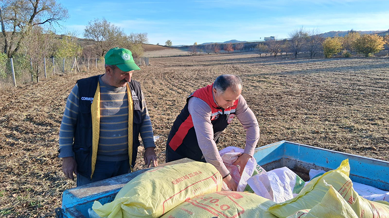 575933549 122210115188108366 7857307421806978802 N