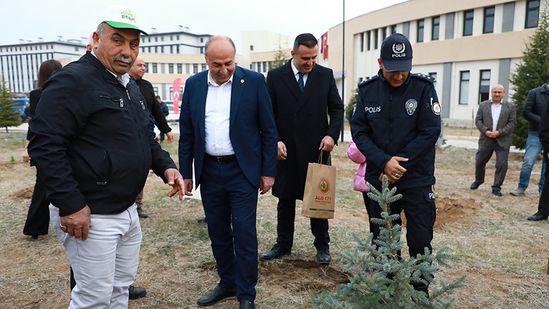 576536217 17930678517128749 5986278357773806065 N