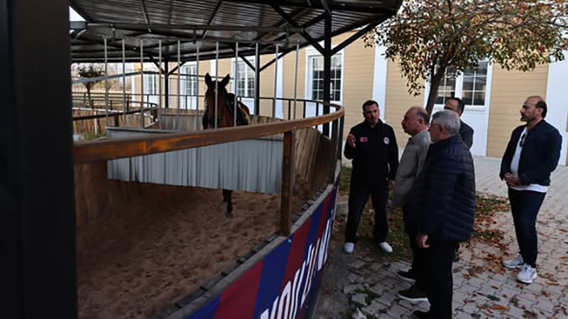 576906158 1237323081764936 8812510561839983865 N