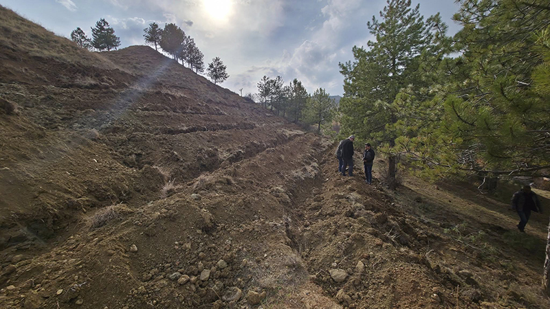 577408375 1968696207009136 1689303408156366926 N