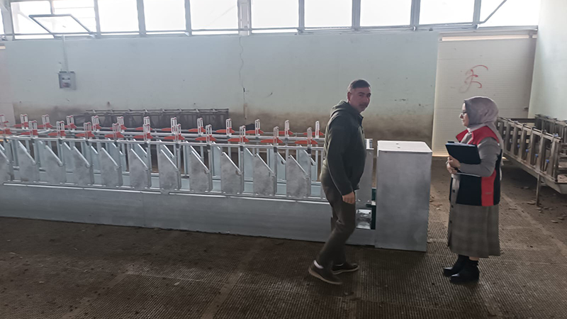 577747204 122210652974108366 8040252718817383761 N