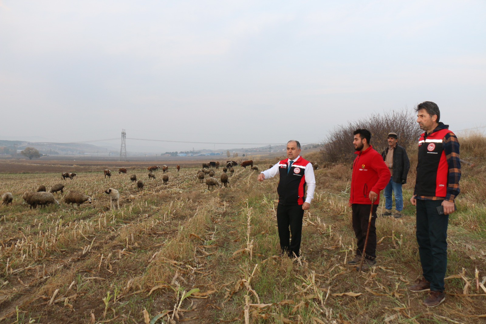 577838401 122210571968108366 282607713201265895 N