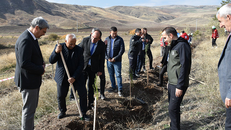 580992562 25250133808006592 5748656051190429003 N