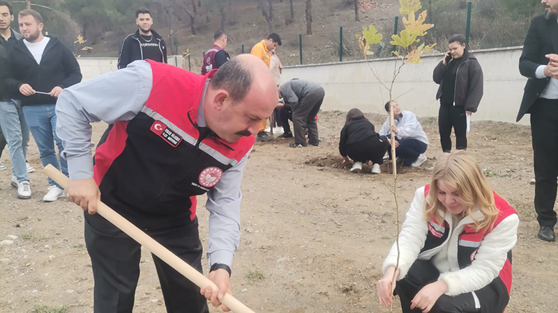 581210397 122211186626108366 8782717790897568961 N