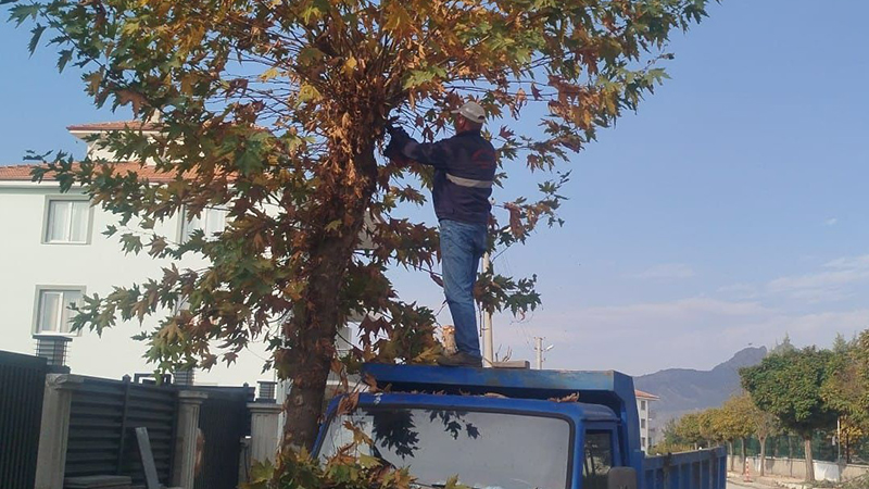 581455991 1893157429507279 5150979728049833192 N