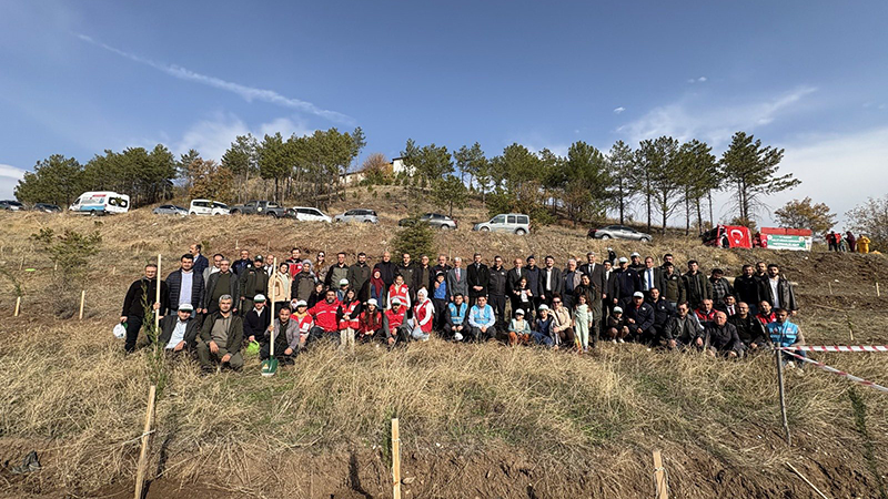 581790735 25250132924673347 2105772445142087656 N