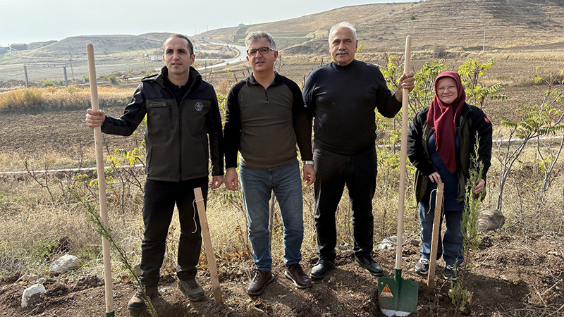 581931992 25250133434673296 5928620351269948021 N