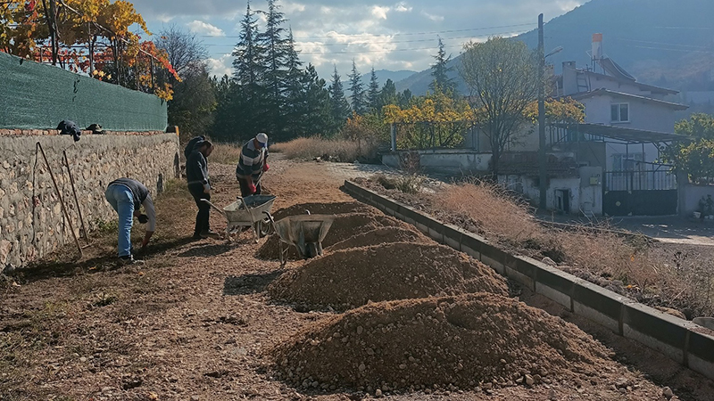 581960496 1538643903994542 1788549810046401382 N