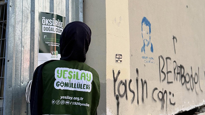 582654608 17913077586238222 6574350944598447730 N