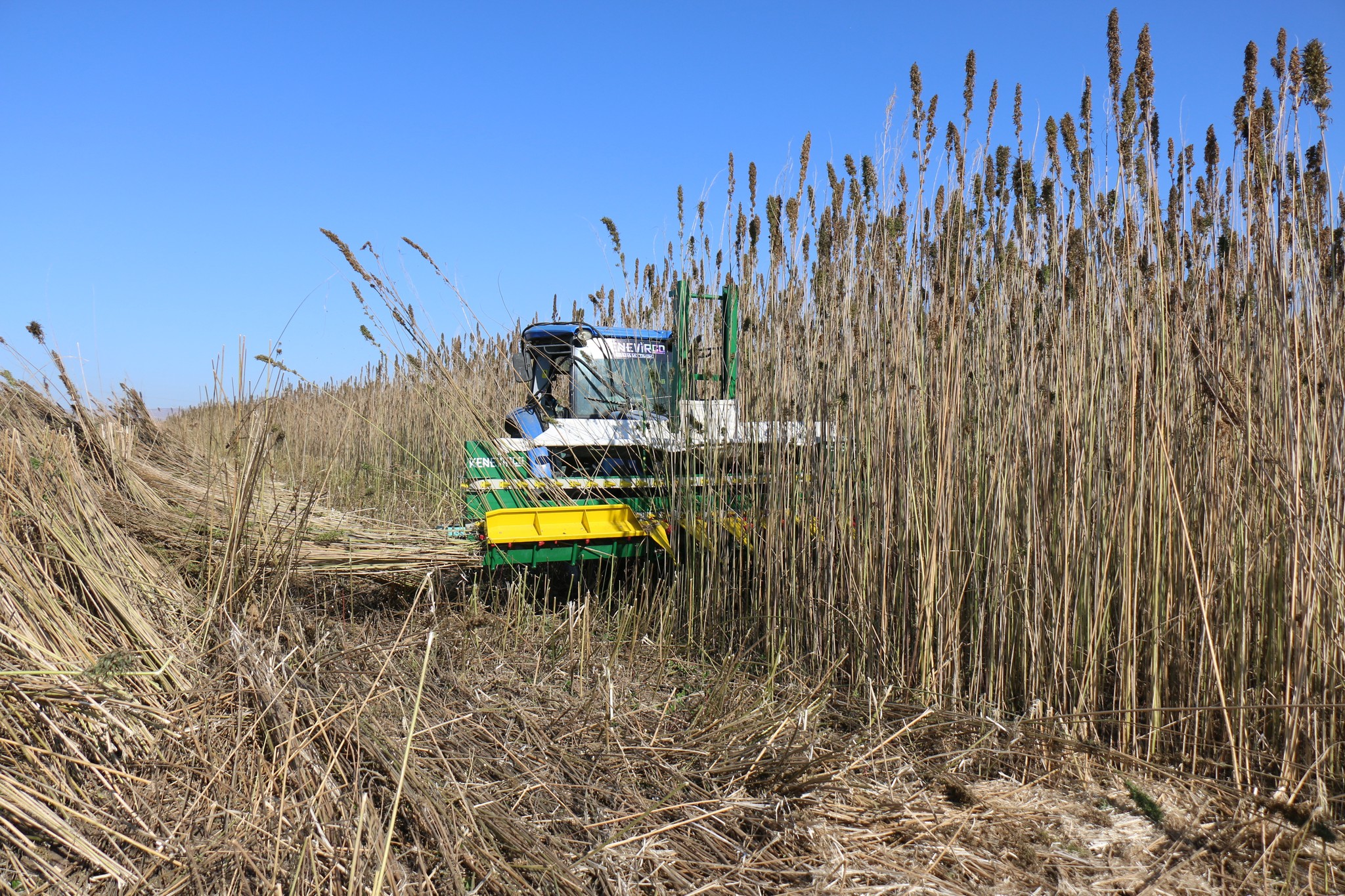 583246807 122211866114108366 242815697123915159 N