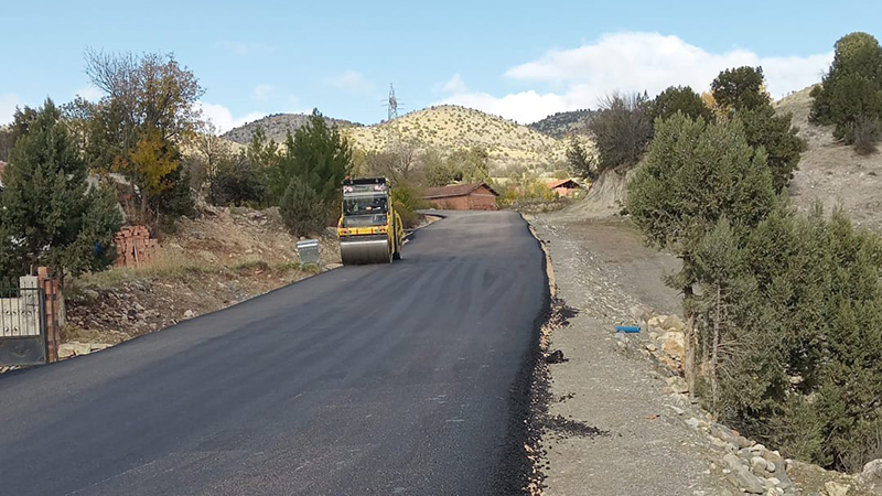 583637367 10238942685686864 8070885547944156493 N