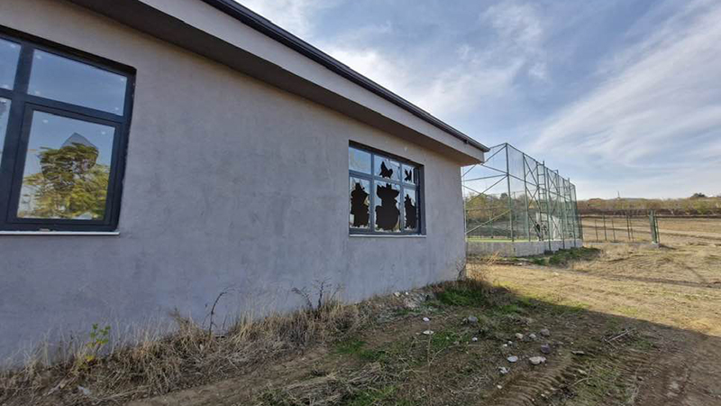 584560237 10242064853825730 3709697293827447455 N (1)