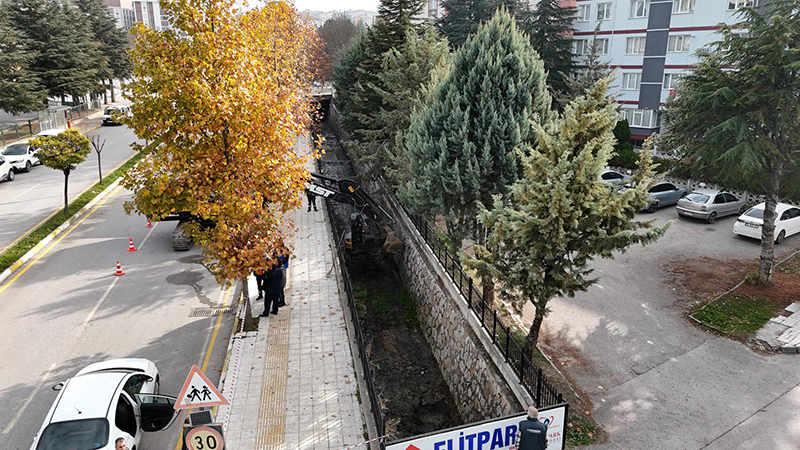 584663886 1651073996325700 4331724085925229659 N