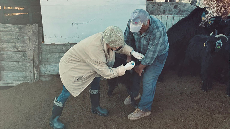 585101851 122211954926108366 5544482853906478636 N