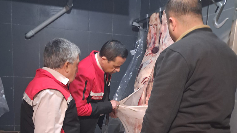 586321331 122212173542108366 6977128152265148309 N