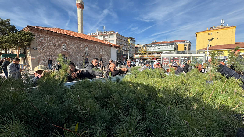 586335310 1279846324188812 8715812303484692109 N