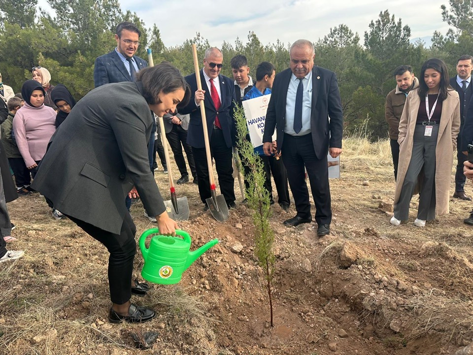 586535987 2270999793408073 2603115588401953542 N