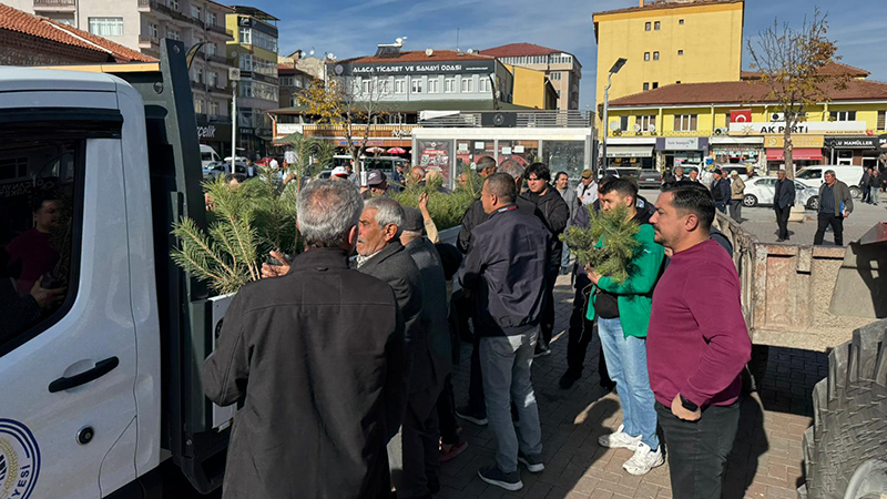 586599653 1279846327522145 403367012539358732 N