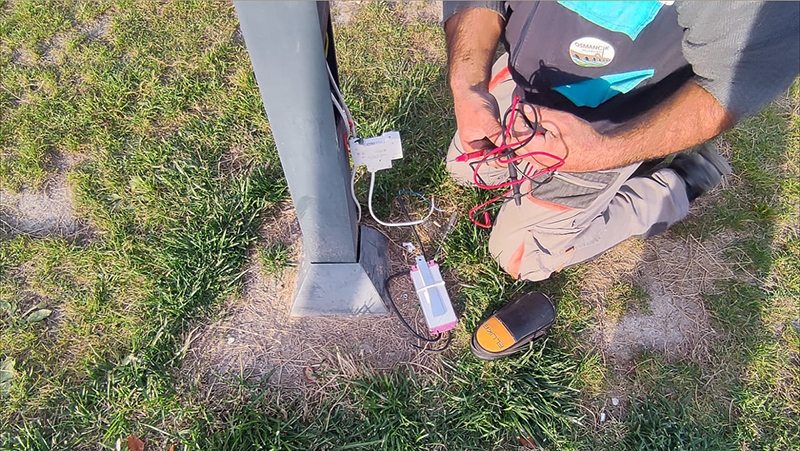 587484312 18432372379109195 1631065398763094607 N