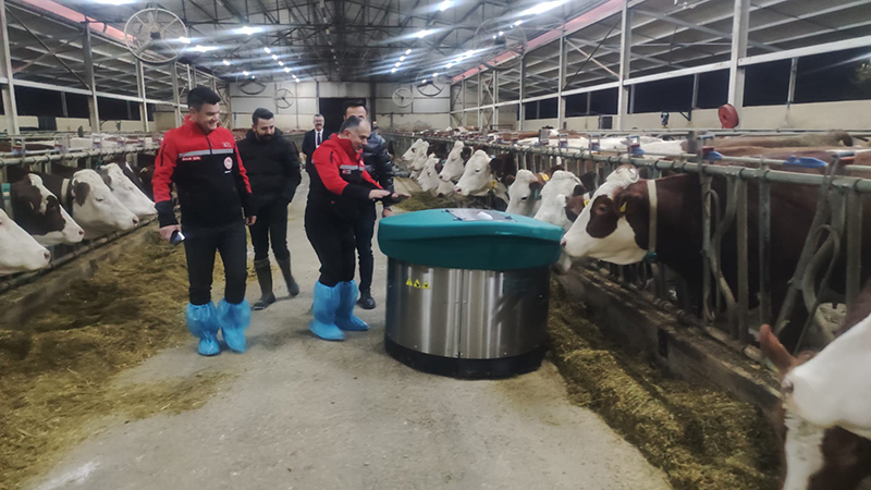 587964992 122212172600108366 8986813541687357366 N