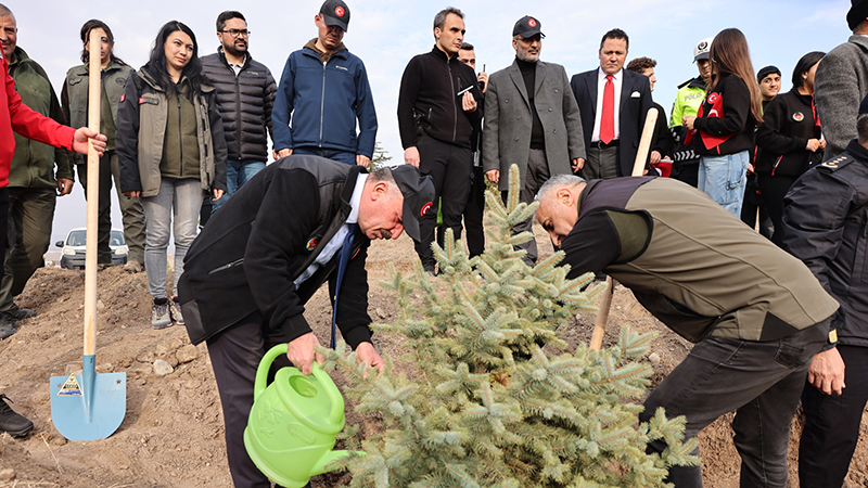 588499365 1251233080373936 4975748753060320239 N