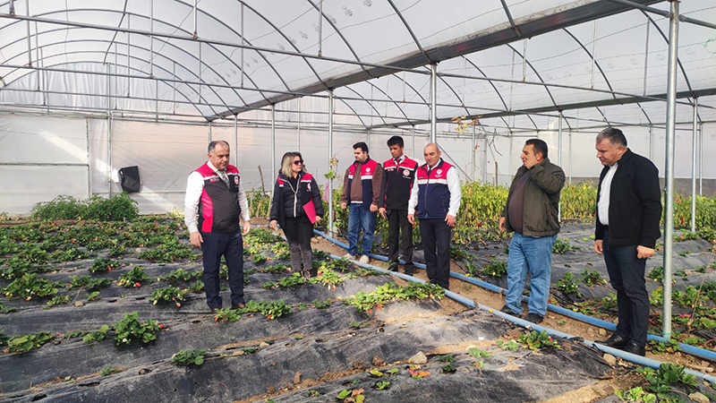 588520810 122212861418108366 5889606196530948190 N