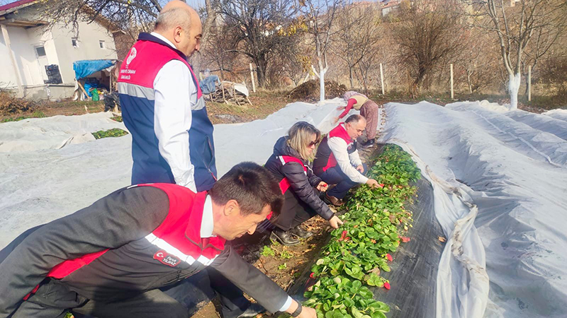 588522933 122212861112108366 8606651149386177512 N