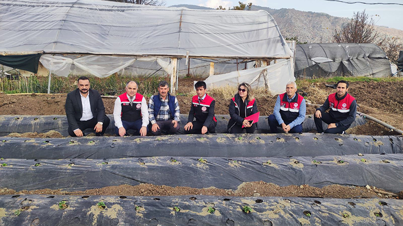 588708355 122212861070108366 1033433260835226602 N