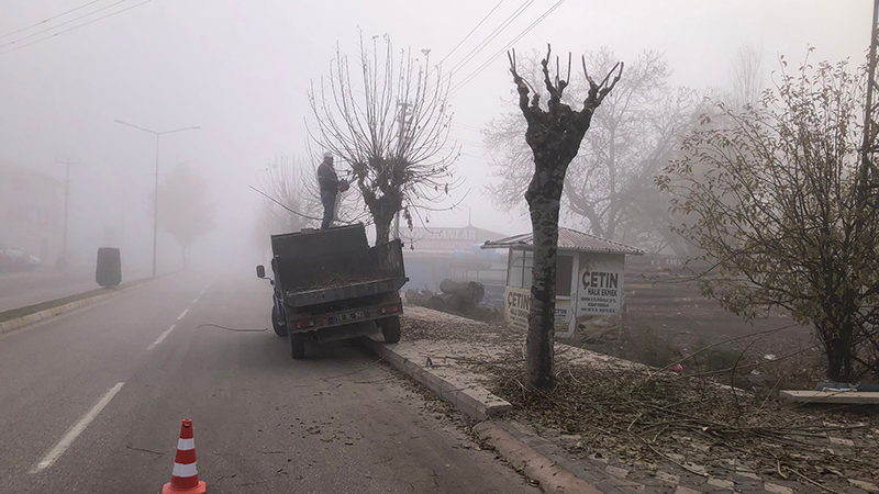 589814516 1921642539992101 4679298080378535825 N