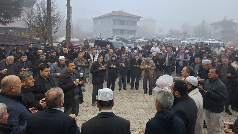 589950044 18544782238012598 1906942003397191574 N