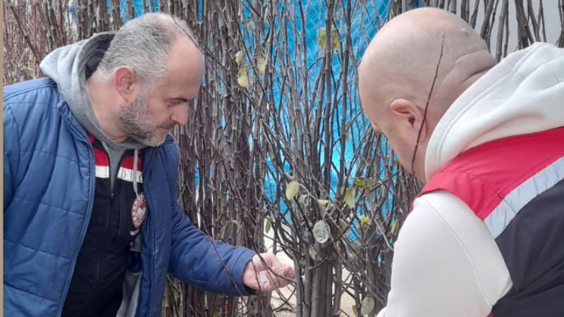 590178859 122212782284108366 9161109120257419299 N