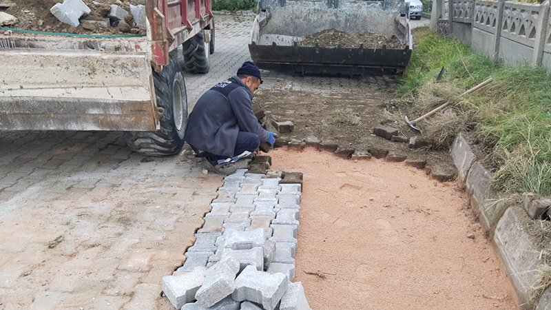 590676407 1921637066659315 1638378205313968645 N