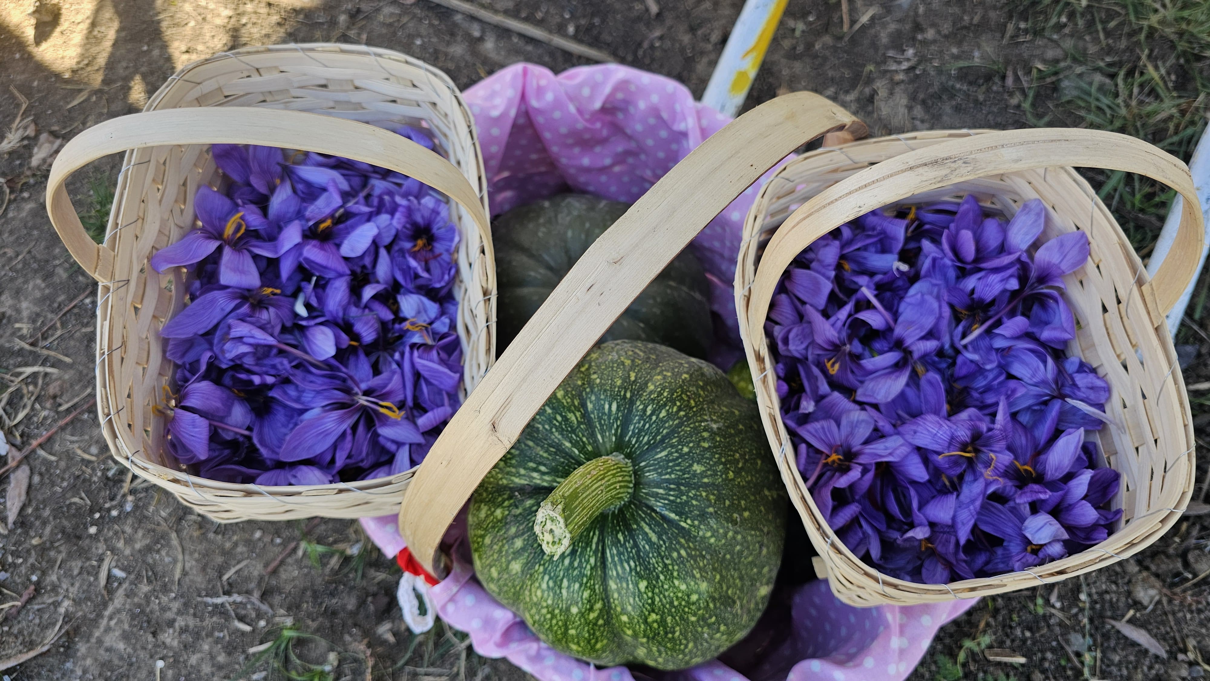 A A 20251102 39596326 39596322 C O R U M D A S A F R A N H A S A T S E N L I G I Y A P I L D I