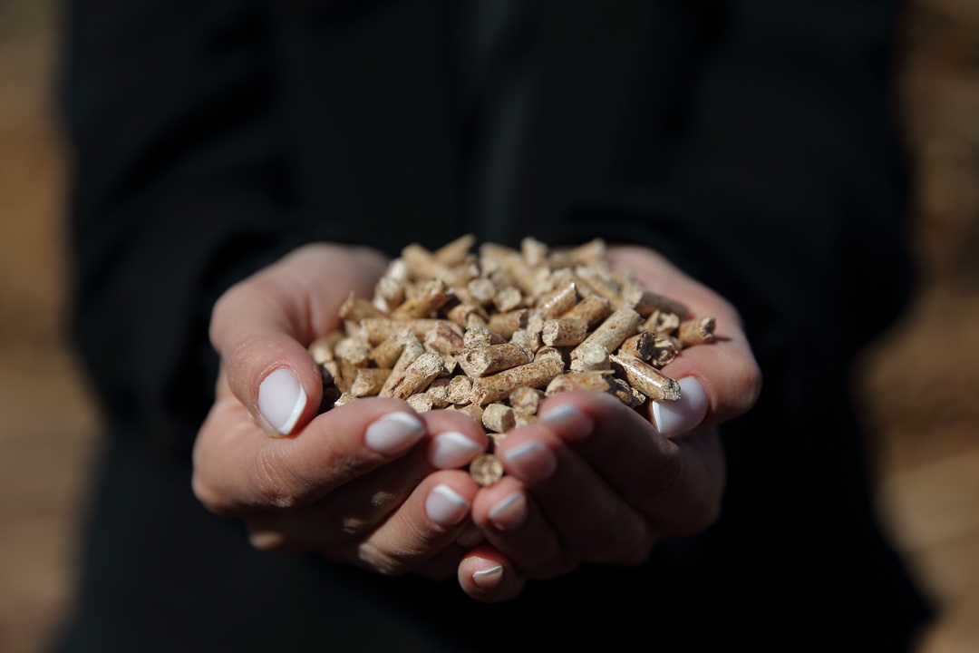 A A 20251106 39630966 39630955 C O R U M D A K A D I N G I R I S I M C I N I N K U R D U G U P E L E T F A B R I K A S I A H S A P A T I K L A R I N I E K O N O M I Y E K A Z A N D I R I Y O R