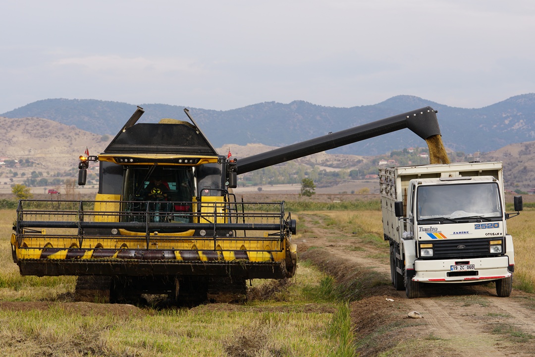 A A 20251108 39649133 39649127 M O D E R N K U R U T M A P I R I N C T E L E Z Z E T V E V E R I M K A L I T E S I N I A R T I R I Y O R