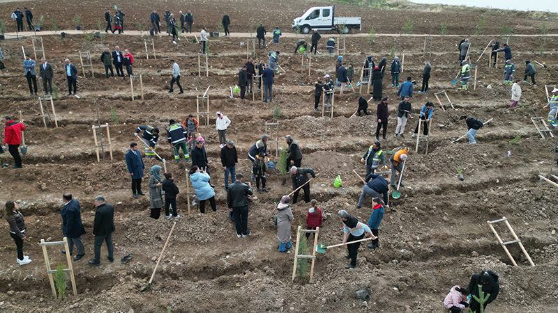 Nadık Şehir Ormanı’nda İlk Ağaçlar Toprakla Buluştu (1)-2