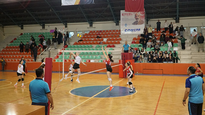 574605087 18546425137012598 7212272539798612646 N