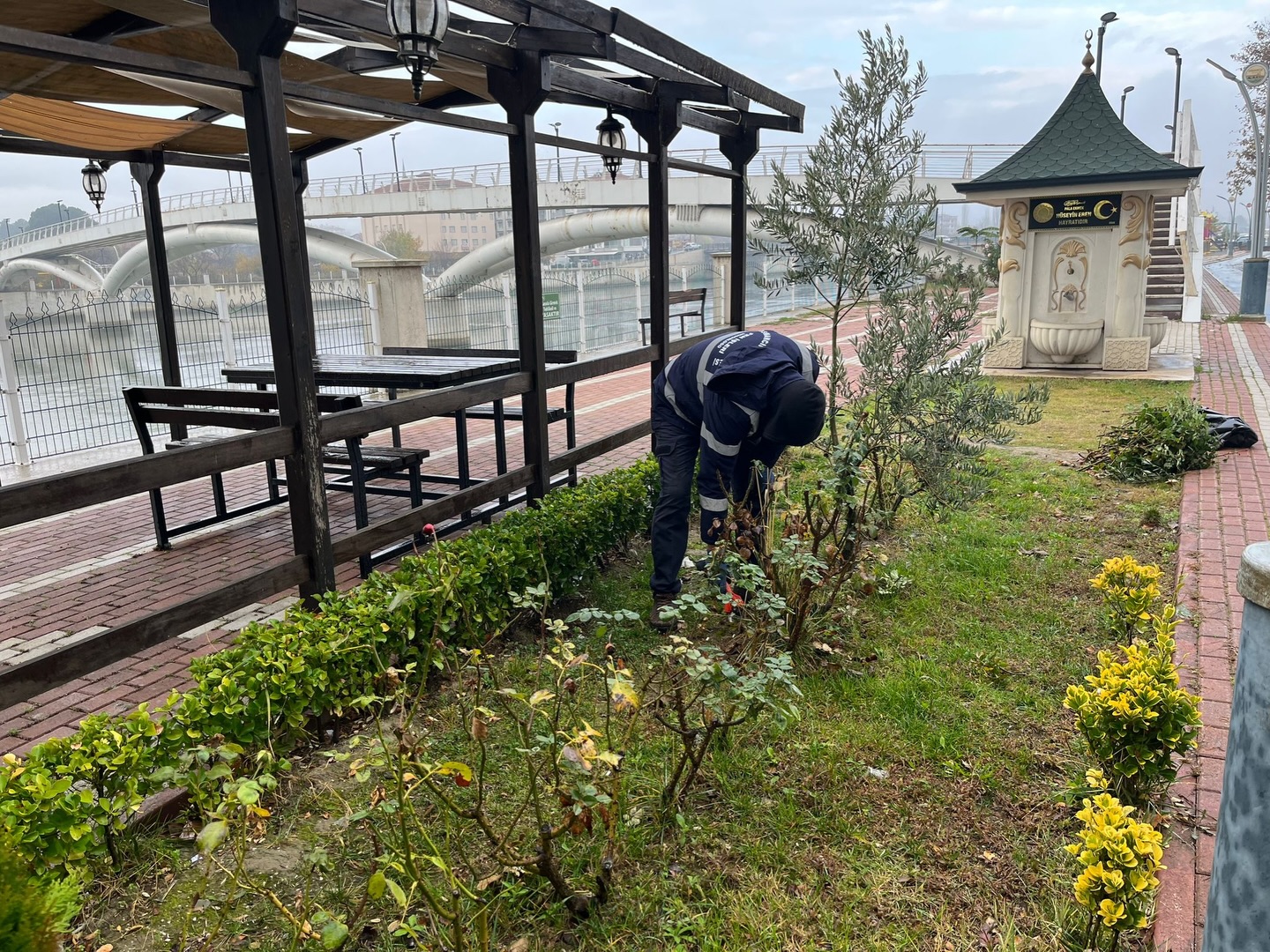 586658002 18433511557109195 2257408683339334310 N