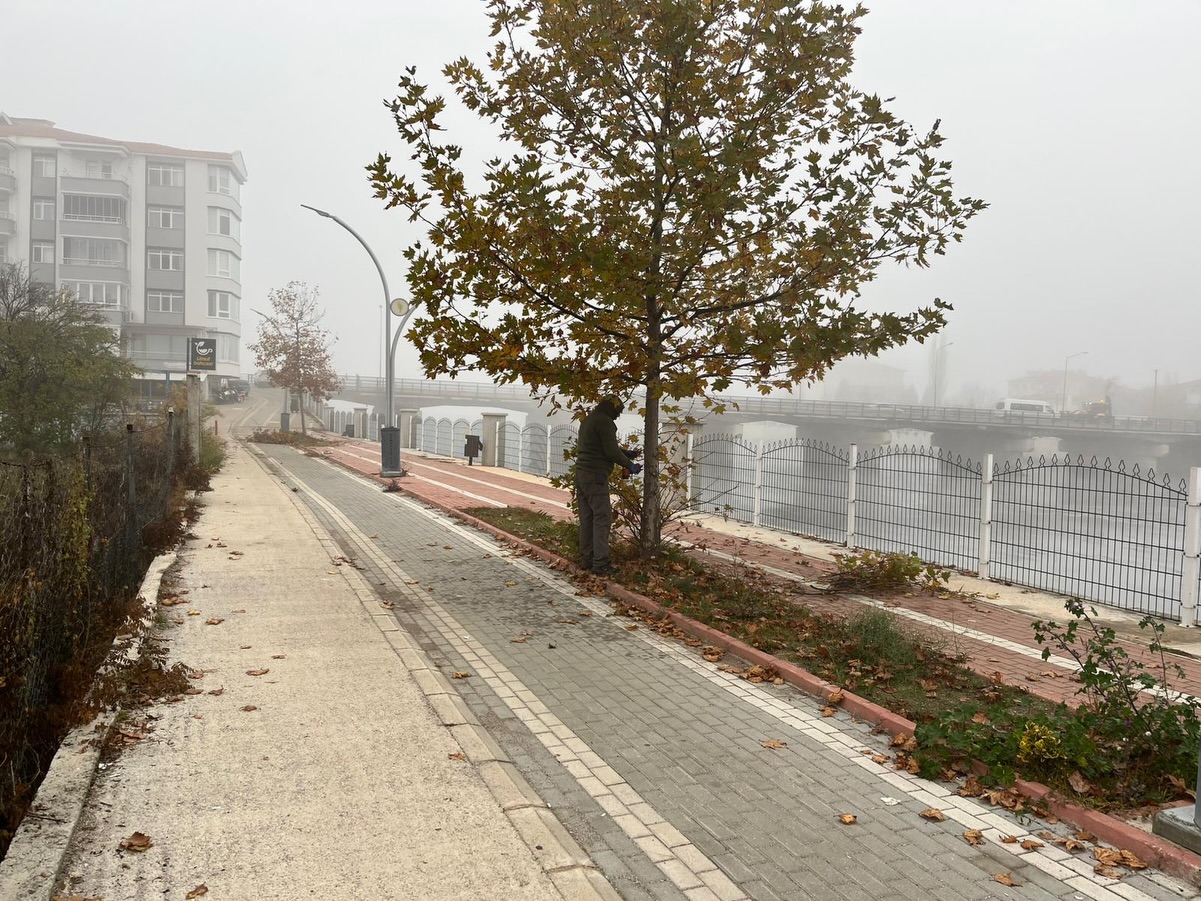 586861101 18433511524109195 494826255924355316 N