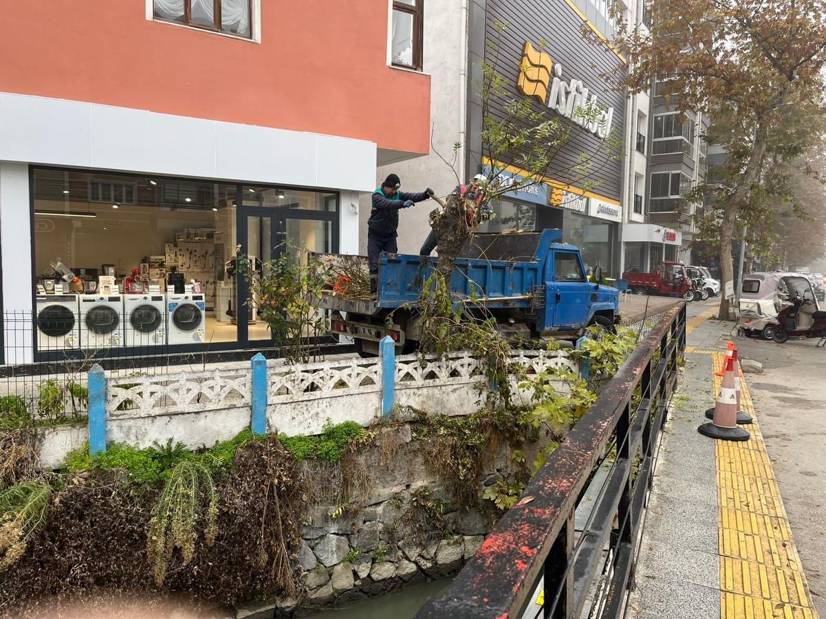 587816428 18433511536109195 594503464799197815 N