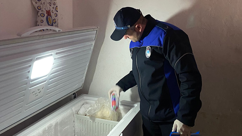 588412283 18434533402109195 6088883431506652991 N