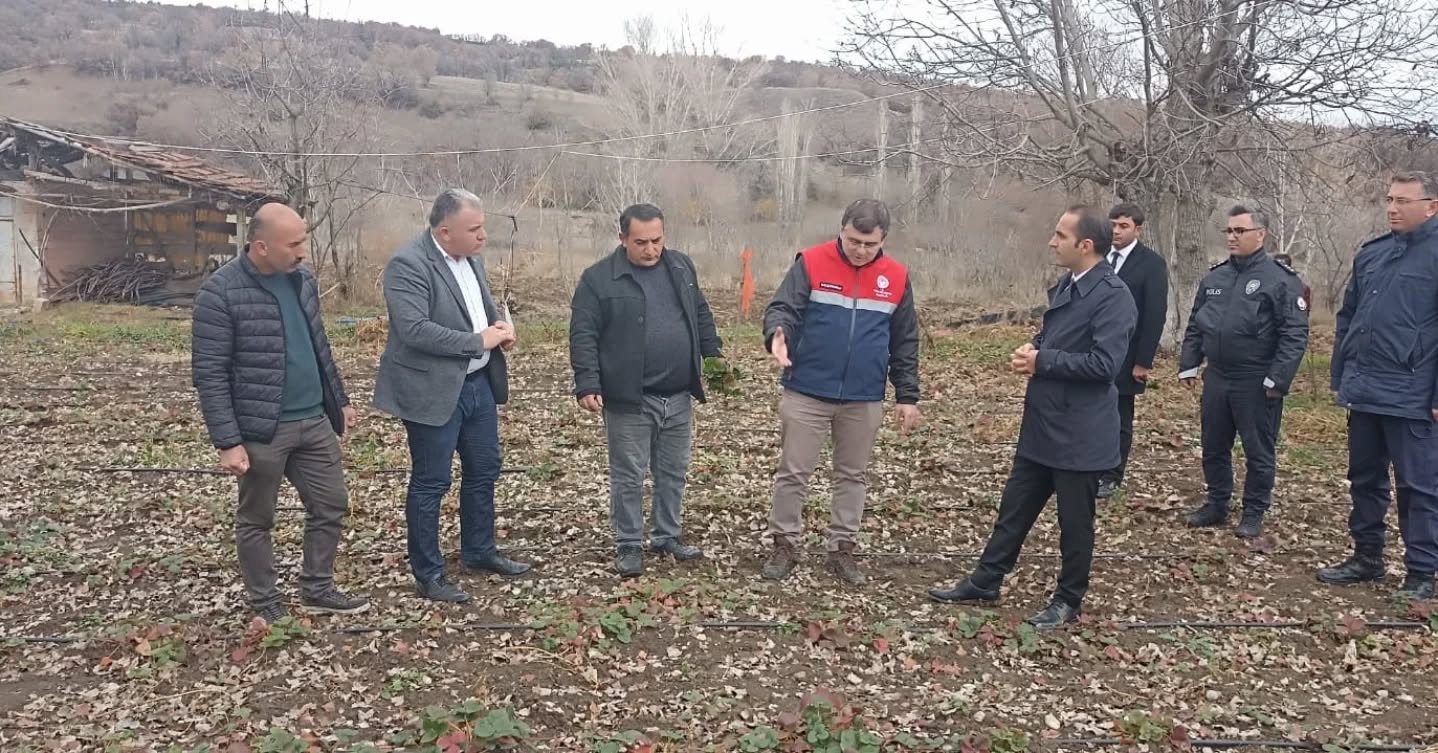 589194222 18052854734661521 1639117931691236488 N