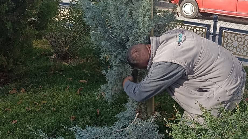 590730168 1317351190196482 5015416875591785436 N