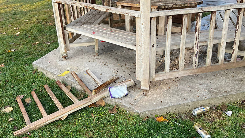 592524226 1260873469411785 3274750191937321870 N